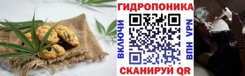 Canna-Cookies марихуана  Шагонар 